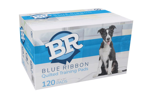 Blue Ribbon Quilted Training Pads Packaging - Regular Size, 120 pads